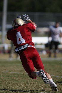 米兰体育平台登录入口-国足队内竞争机制执行评估,中国足协足球竞赛规则 第3张 米兰体育平台登录入口-国足队内竞争机制执行评估,中国足协足球竞赛规则 第3张