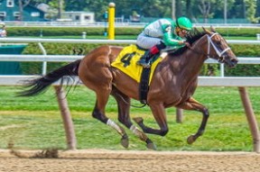 中国米兰体育-中国花游队世界赛上展示完美默契，中国花游队名单