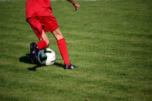 米兰全站APP下载-中国职业篮球俱乐部青训体系优化,中国篮球青训现状 第3张 米兰全站APP下载-中国职业篮球俱乐部青训体系优化,中国篮球青训现状 第3张