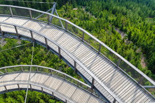 米兰体育APP-“飞盘：三叉湖赛场飞扬，速度与技巧成就精彩”  第2张