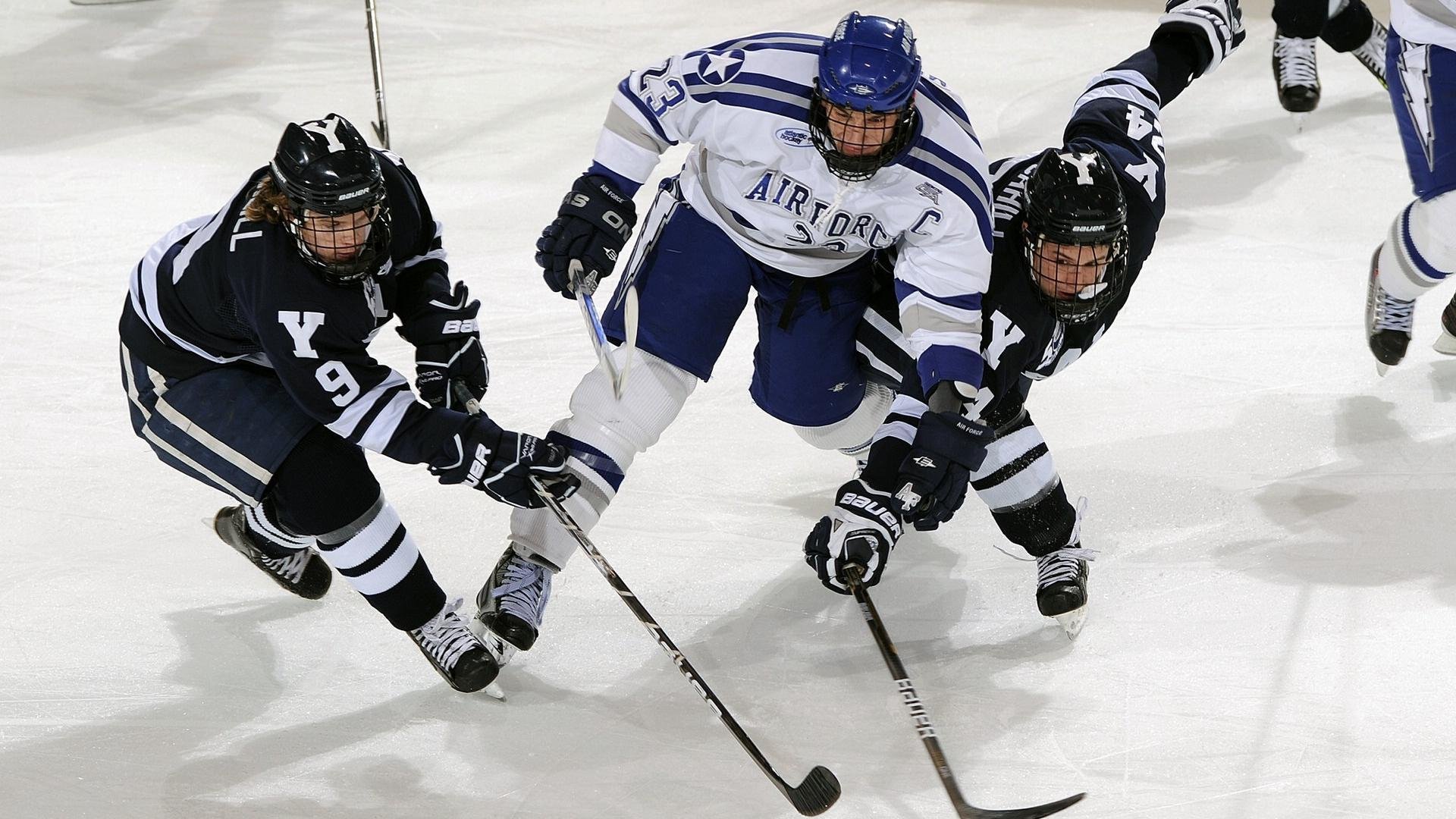 多项目残健融合运动会 各类群体同场享受运动快乐